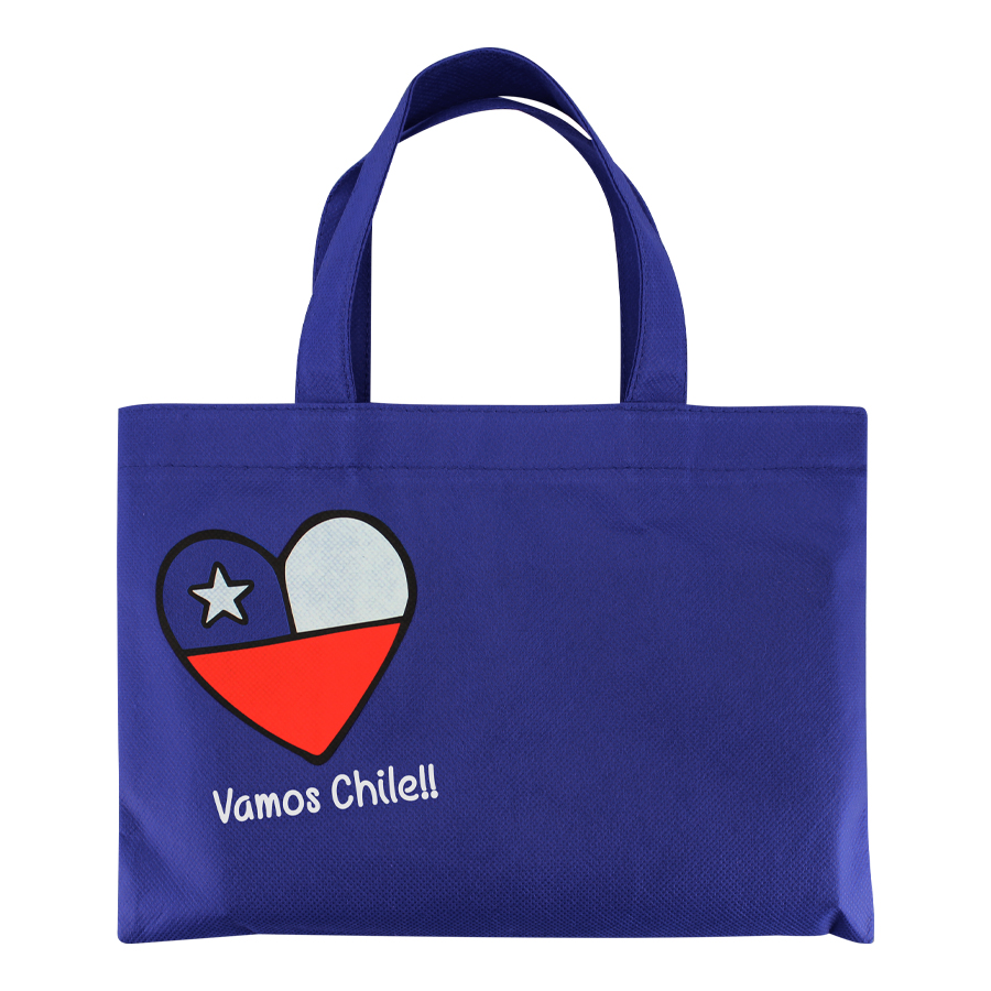 BOLSA TNT VAMOS CHILE -[E32]d