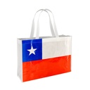 BOLSA TNT BANDERA CHILENA GRANDE -[E56]d