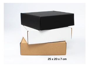 [F22] CAJA AUTOARMABLE 25X20X7 CM -[F22]d