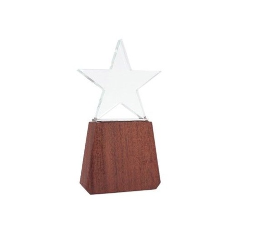 [A78-11] TROFEO DE MADERA Y CRISTAL «LONELY STAR» -[A78]d