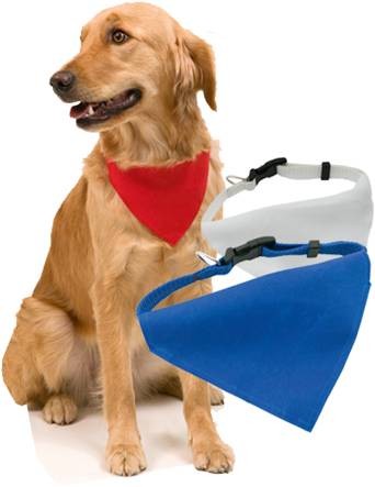 [3062] Collar Bandana Roco