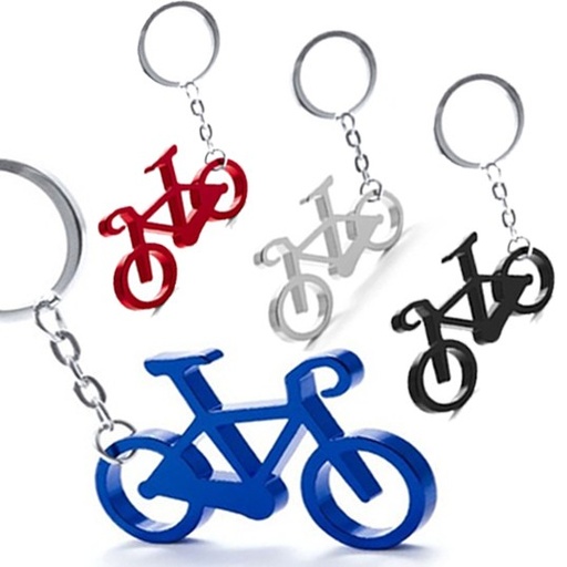 [4589] Llavero Ciclex