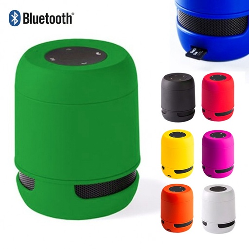 [4628] Altavoz Braiss