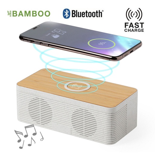 [6546] Altavoz Cargador Trecam